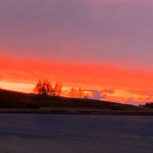 Meet your Posher, Roberta